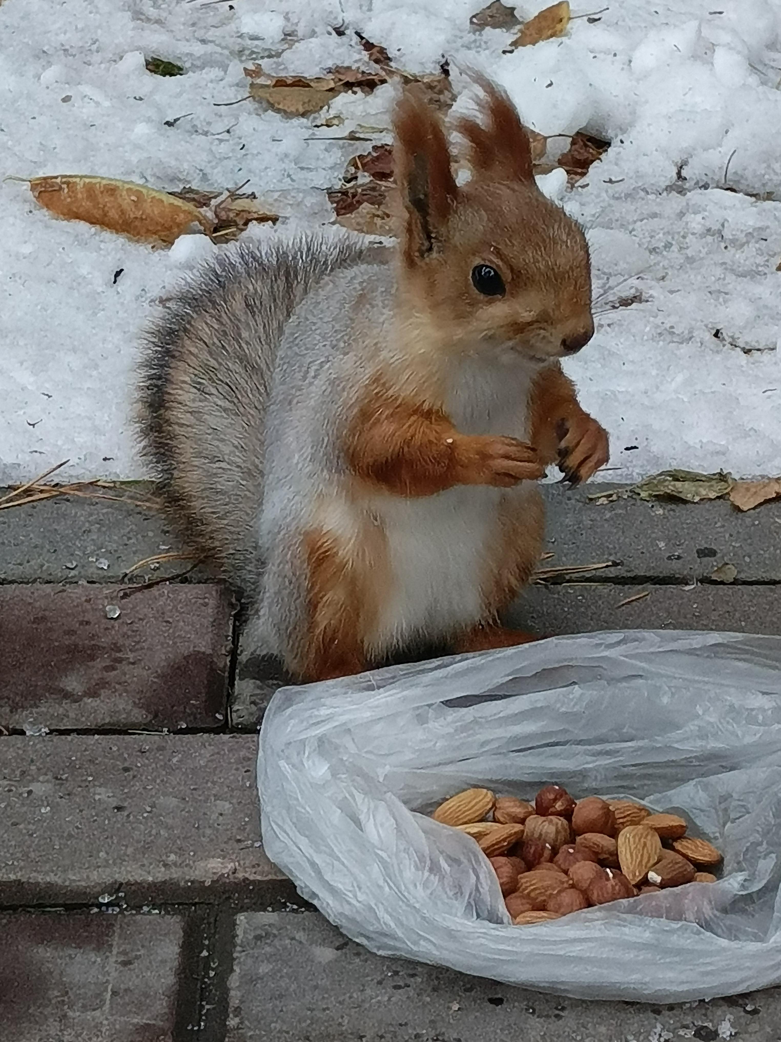 IMG_20251008_080549_442 (3).jpg